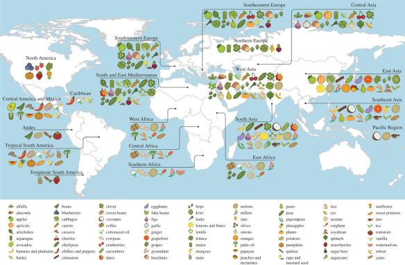 Origins of food crops connect countries worldwide